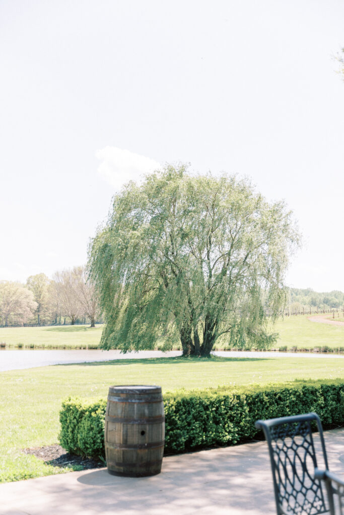 A willow tree by a lake at the Barn & Pavilion at Trump winery