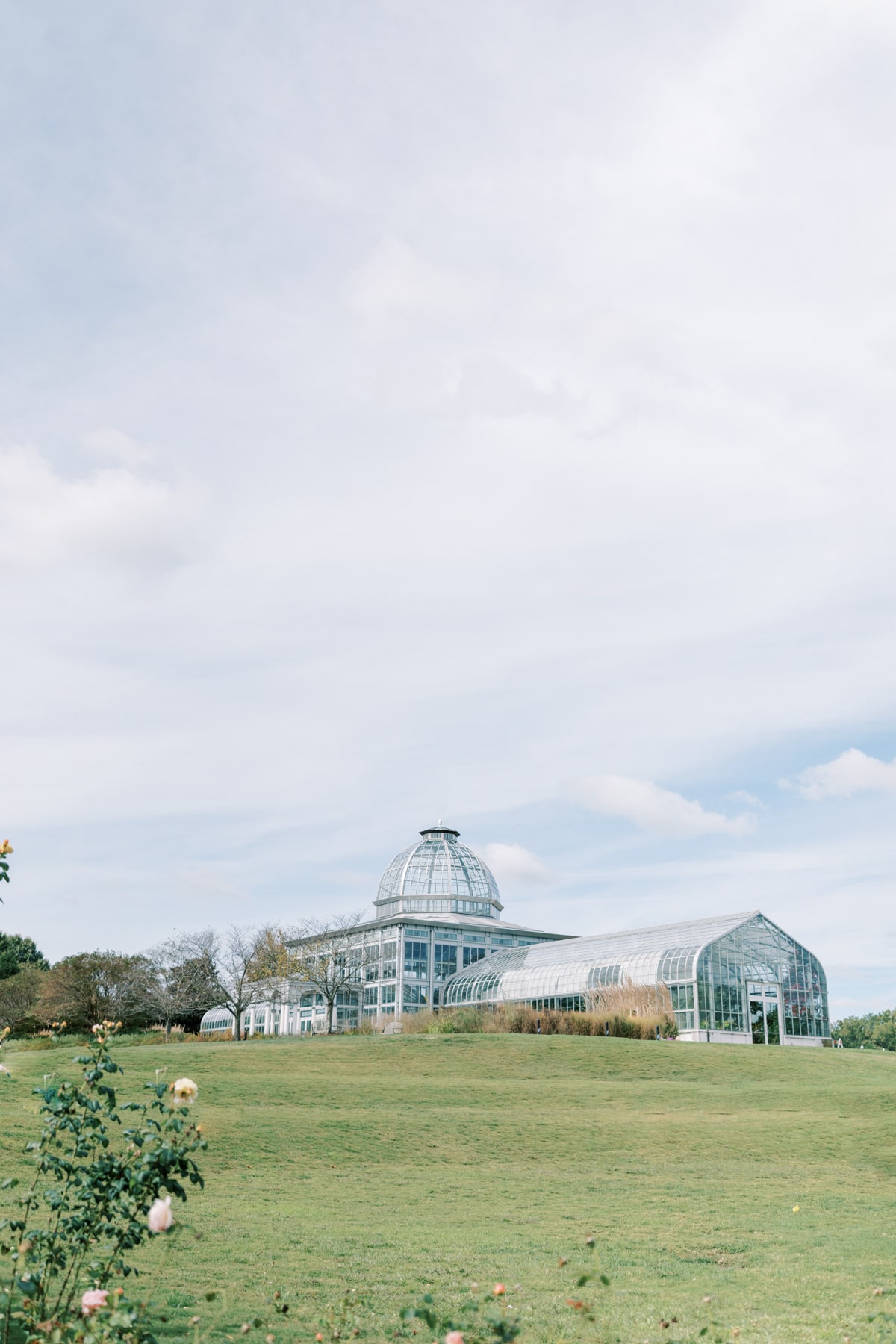 The conservatory space at Lewis Ginter- perfect for photographs of your wedding day!